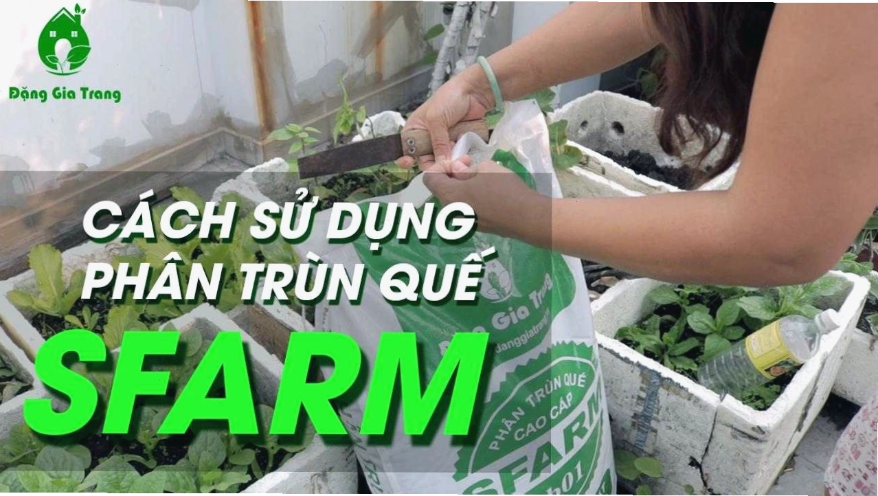 Cách sử dụng và bảo quản phân trùn quế hiệu quả