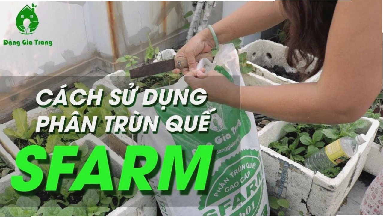 Cách sử dụng và bảo quản phân trùn quế SFARM