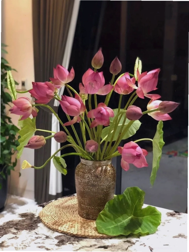 Cắm hoa sen tỏa đều bó lớn