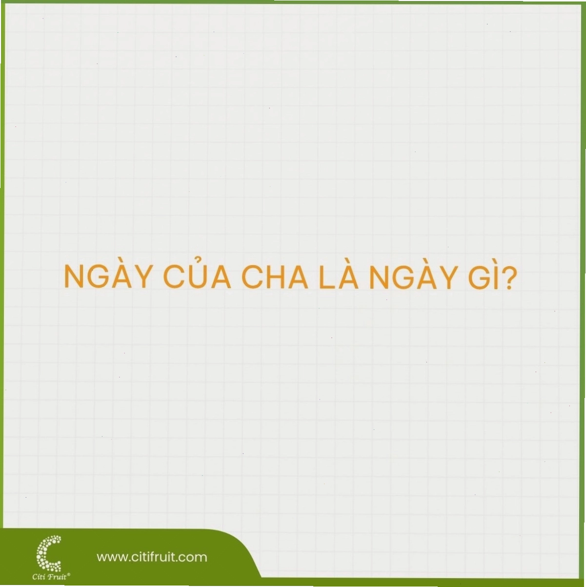 Cận cảnh cây mận miền nam với những trái mận đỏ mọng