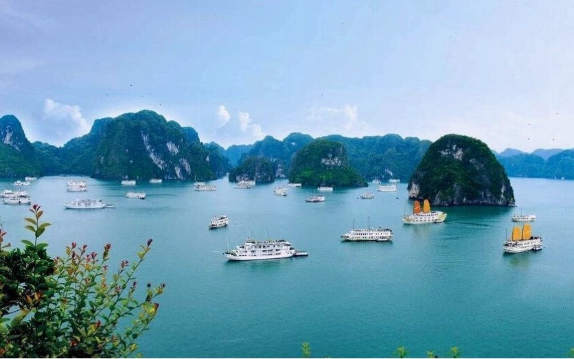 Cảnh quan biển đảo Việt Nam với làn nước trong xanh và bãi cát trắng
