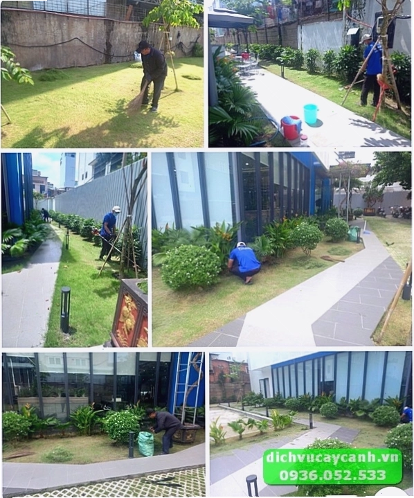 Cảnh Quan Đại Phú đối tác đáng tin cậy trong lĩnh vực cảnh quan