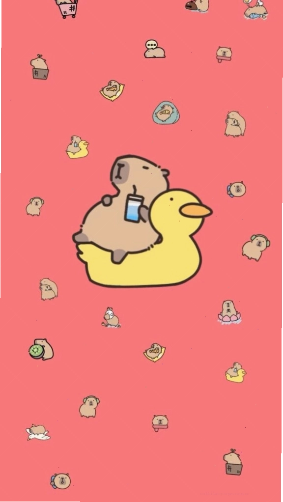 Capybara thư giãn trên phao vịt