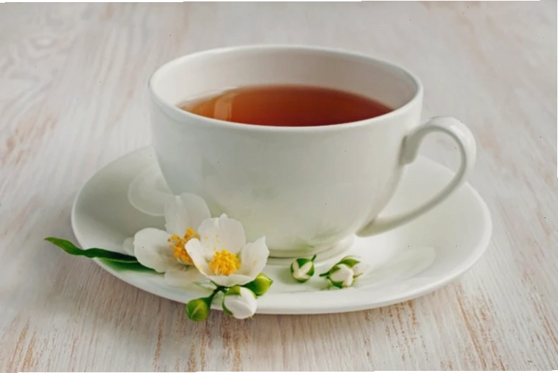 Cây hoa nhài với nhiều nụ và hoa đang nở rộ