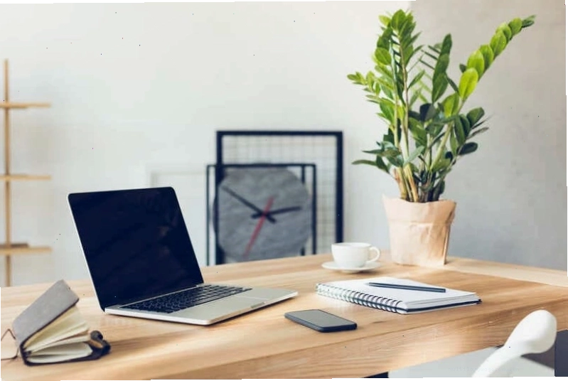 Cây Lan Ý với hoa trắng tinh khôi phù hợp với người mệnh Thủy
