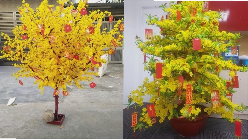 Cây mai giả rực rỡ sắc vàng