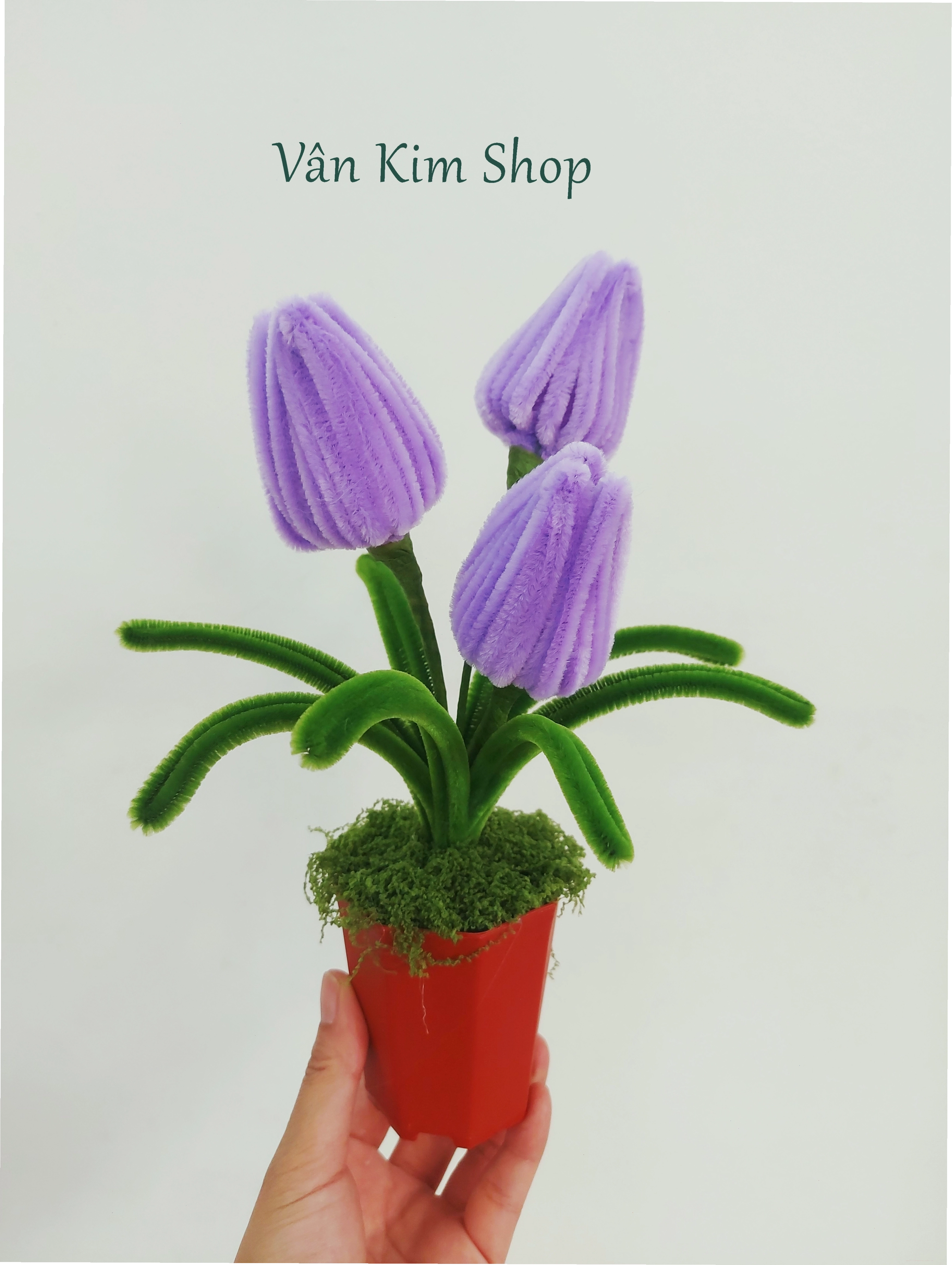 Chậu hoa kẽm nhung để bàn handmade tinh tế