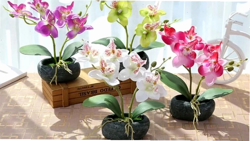 Chậu hoa lan giả sang trọng