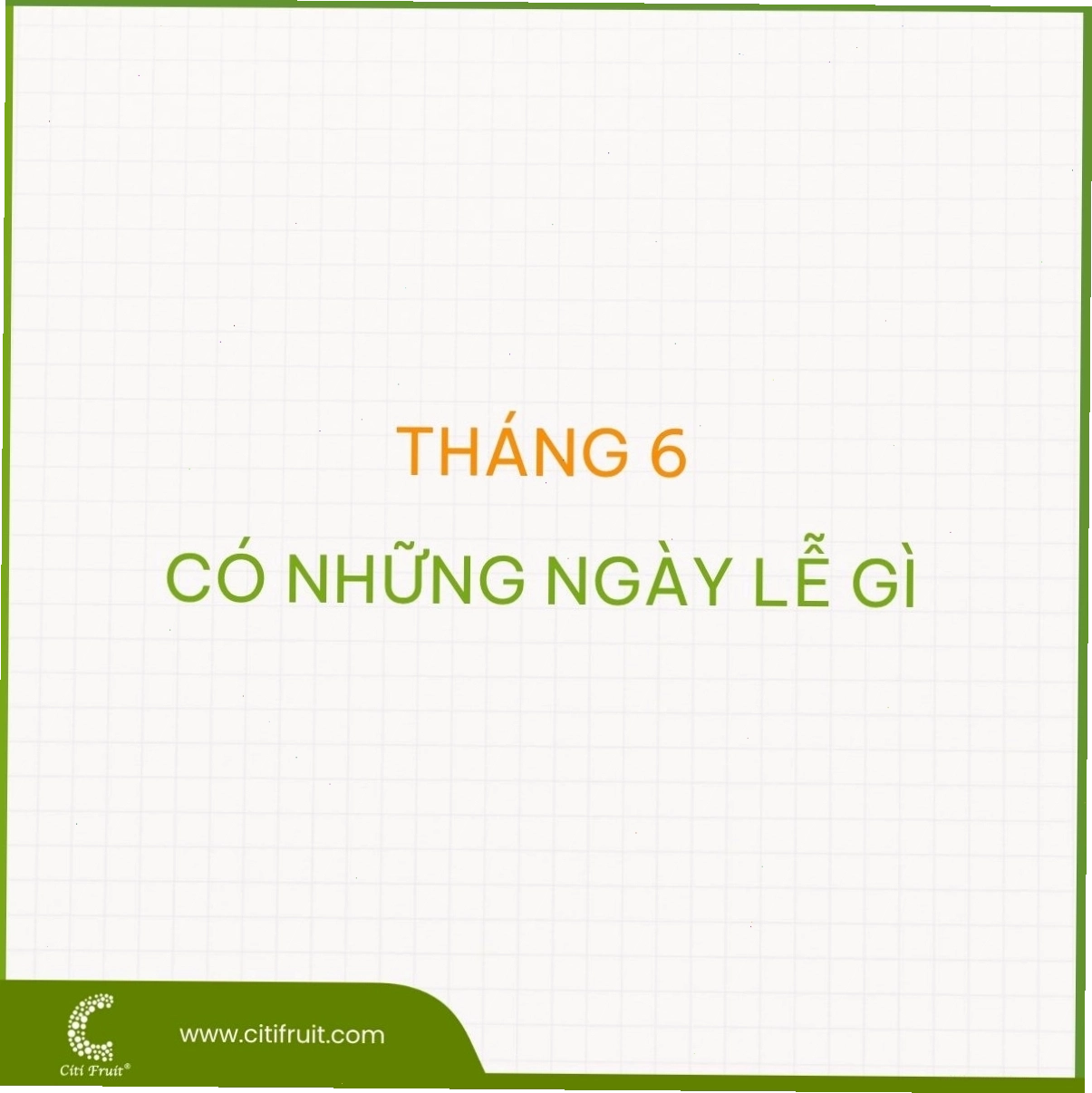 Chi tiết cành lá và hoa của cây mận