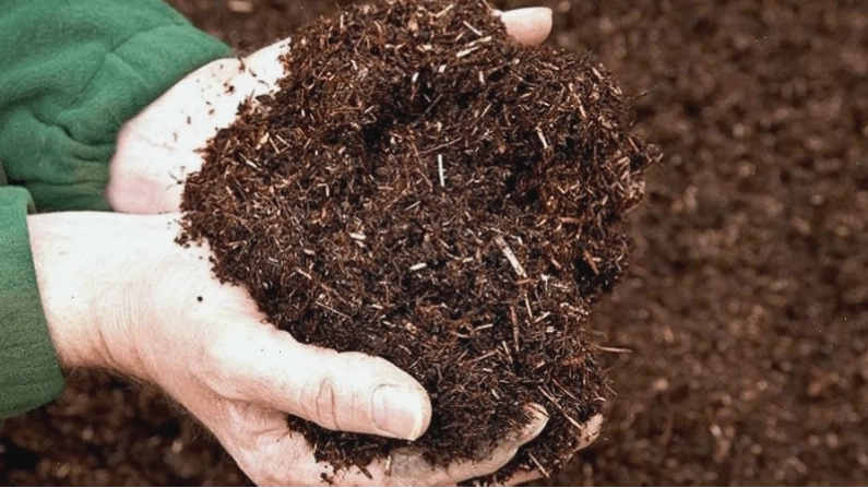 Chọn loại đất trồng rau giàu dinh dưỡng và tơi xốp