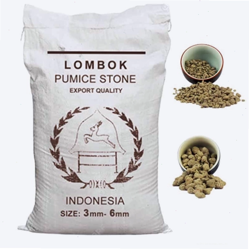 Đá bọt Pumice trồng kiểng lá, sen đá