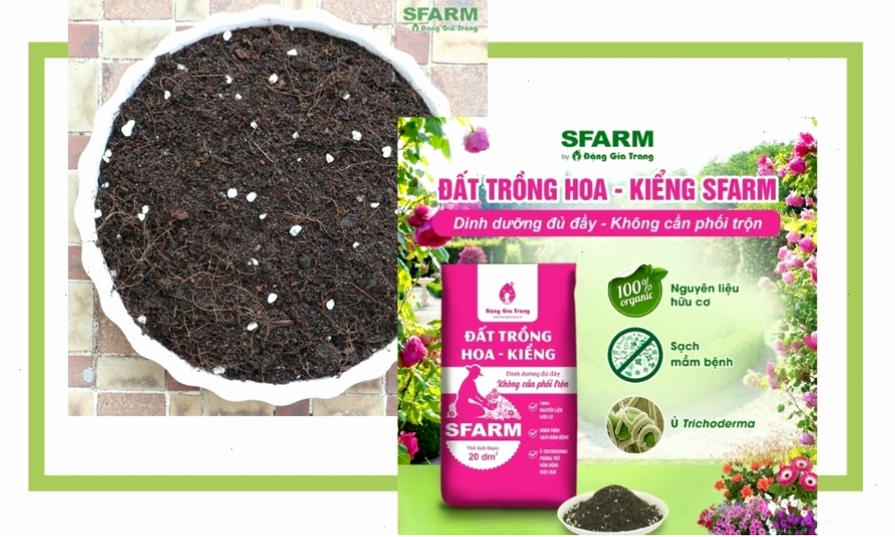 Đất trồng hoa kiểng chất lượng từ SFARM