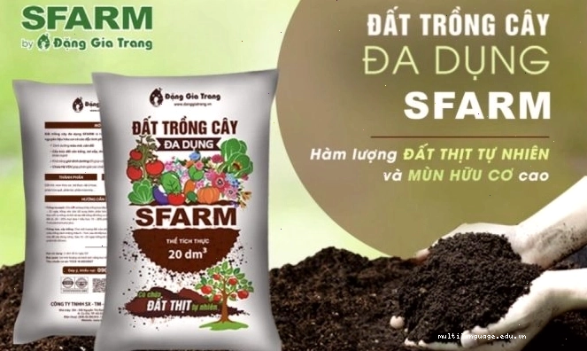 Đất trồng SFARM giàu dinh dưỡng và cải thiện cấu trúc đất