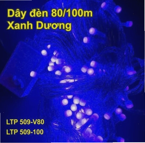 Dây đèn bi vàng ấm trang trí cây thông Noel