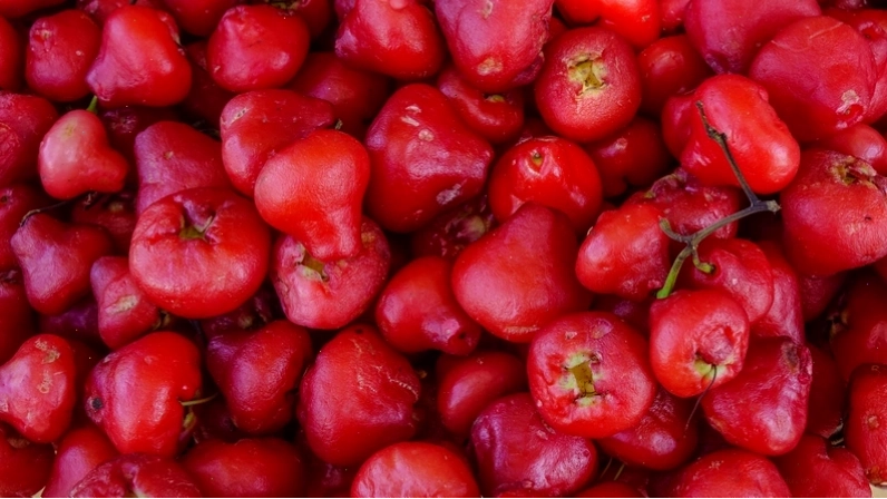Giỏ trái mận đã thu hoạch