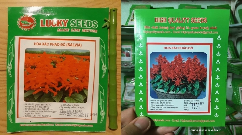 Hạt giống hoa xác pháo