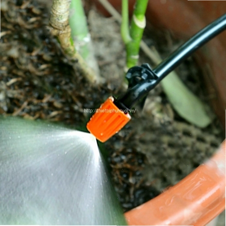 Hệ thống tưới cây tự động giúp cây phát triển xanh tốt