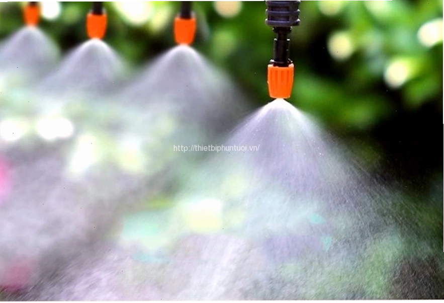 Hệ thống tưới phun sương cho vườn lan