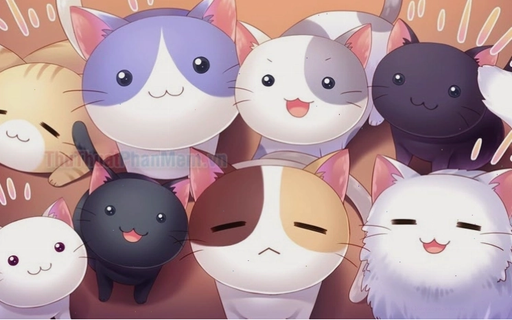 Hình ảnh mèo mập cute đáng yêu
