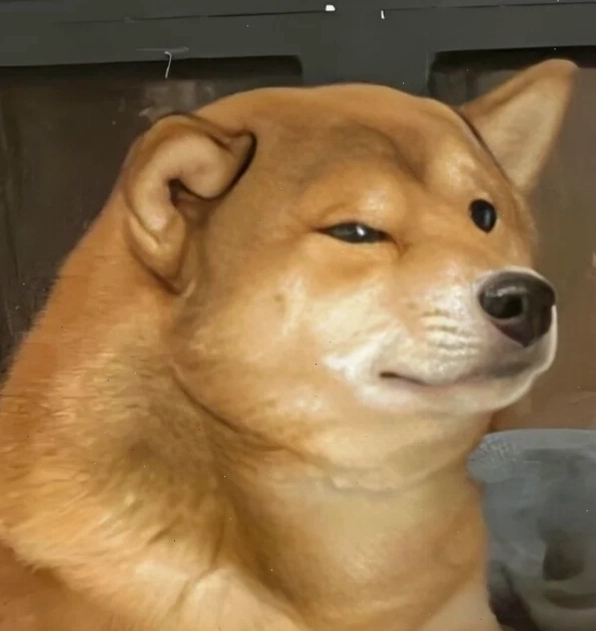 Hình chó giận dỗi meme với ánh mắt "buồn thiu"