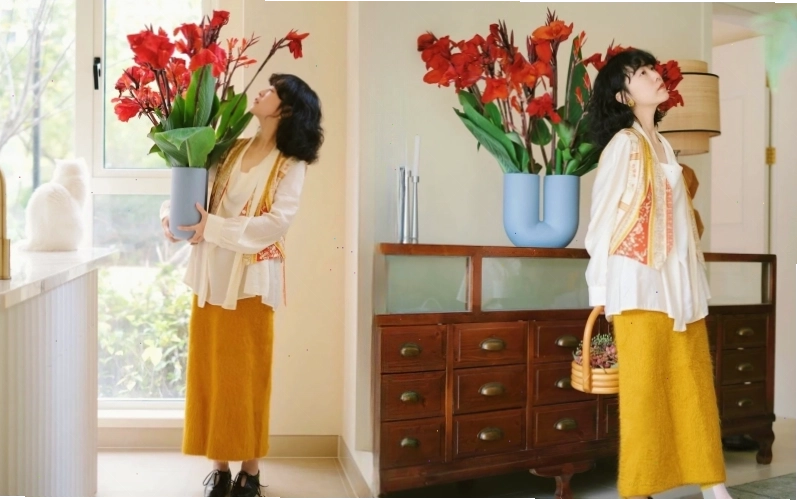 Hoa đồng riềng đỏ rực rỡ trang trí không gian ngoại thất