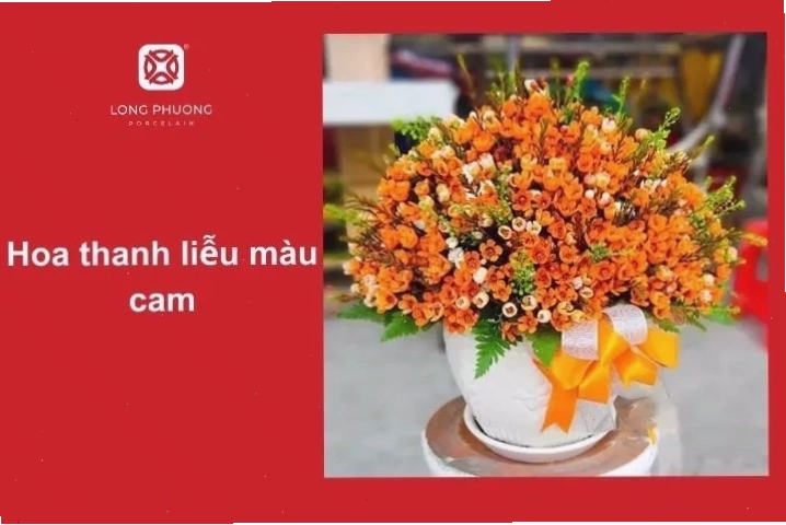 Hướng dẫn cách cắm hoa thanh liễu đơn giản