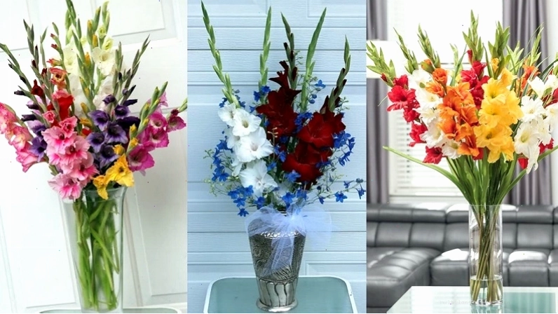 Hướng dẫn cách giữ hoa lay ơn tươi lâu