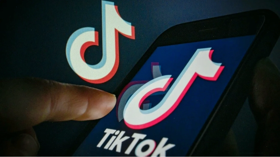 Hướng dẫn xoá logo Tiktok, minh họa cho việc chỉnh sửa và tạo meme