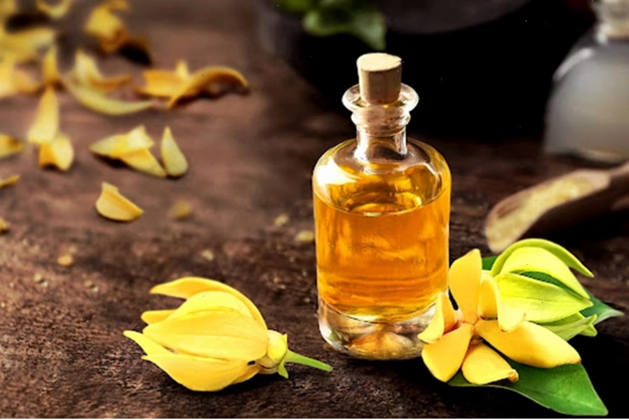 Hương thơm quyến rũ của tinh dầu ngọc lan tây