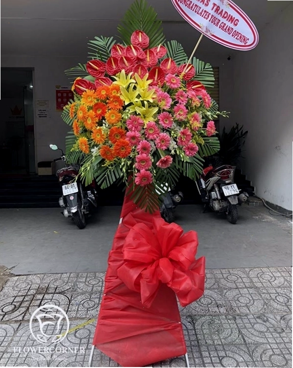 Kệ hoa đồng tiền mừng khai trương