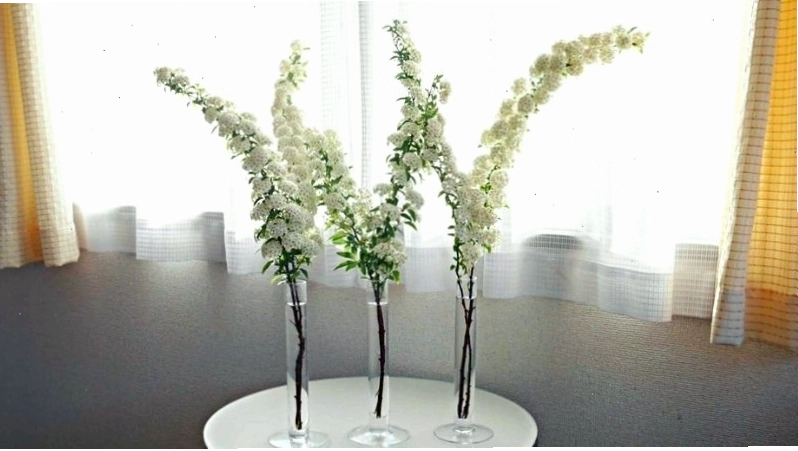 Kiểu cắm hoa tiểu tú cầu trong bình thủy tinh thon dài