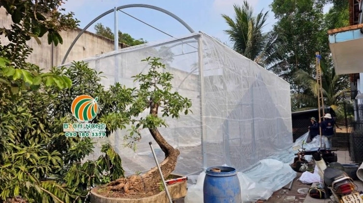 Lắp đặt lưới chắn côn trùng cho thành nhà màng