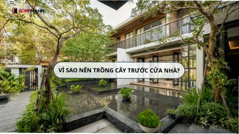 Lý do nên trồng cây cảnh trước cửa nhà để tăng vượng khí