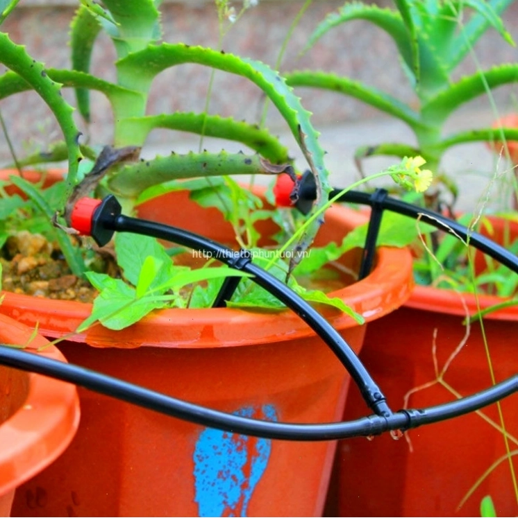 Máy tưới cây tự động giúp tiết kiệm nước và công sức