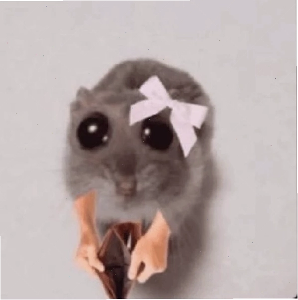 Meme ăn xin và lời nhắn nhủ