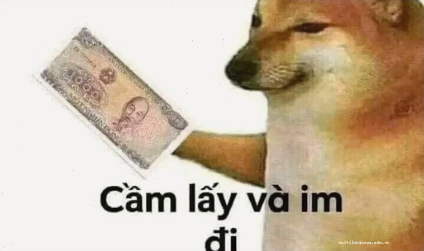 Meme biểu cảm vô tri, ngơ ngác hài hước 2025
