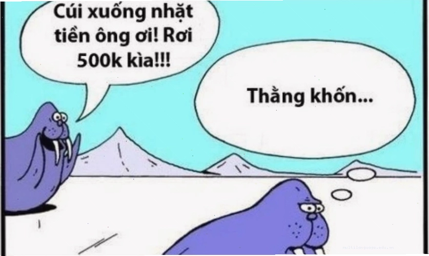 Meme Cá tháng tư hài hước với chú cá biểu cảm đáng yêu