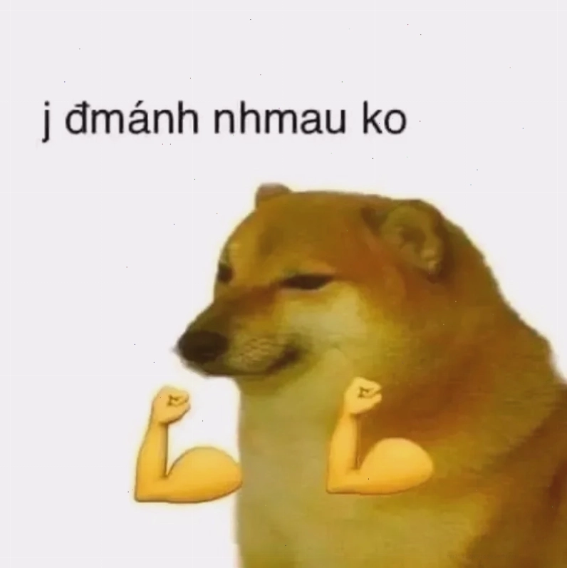 Meme cay cú với biểu cảm khó chịu cực kỳ hài hước