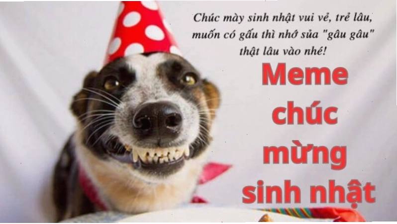Meme chúc mừng sinh nhật hài hước