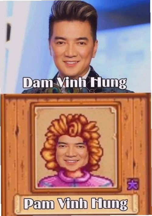 Meme Đàm Vĩnh Hưng với phong cách độc đáo