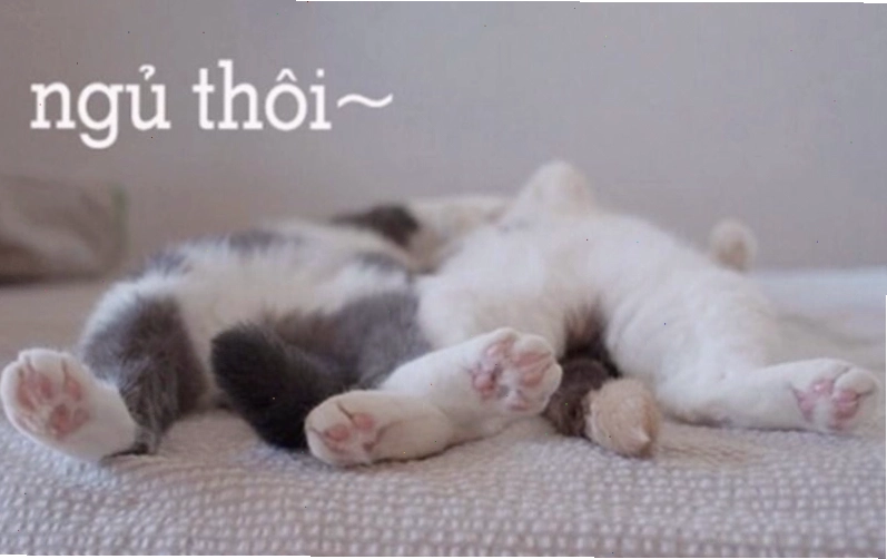 Meme dễ thương với hình ảnh nhân vật hoạt hình đang buồn ngủ