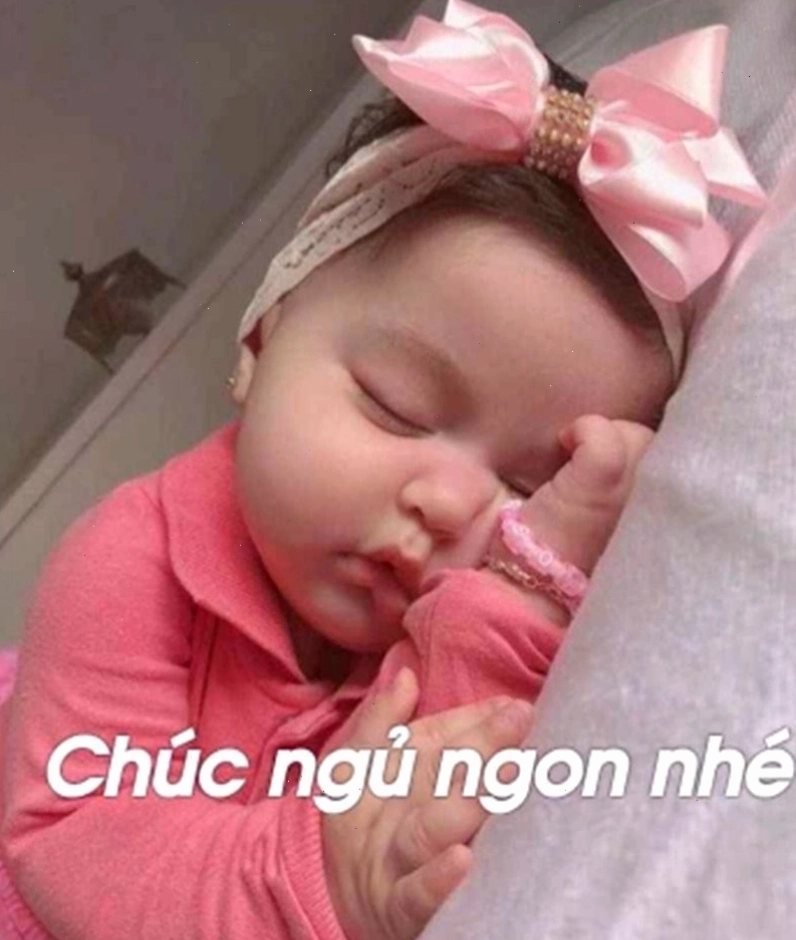Meme động vật dễ thương thể hiện sự buồn ngủ