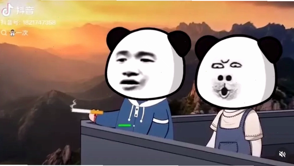 Meme gấu trúc bựa với biểu cảm hài hước và lầy lội