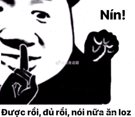 Meme gấu trúc bựa với vẻ mặt đăm chiêu