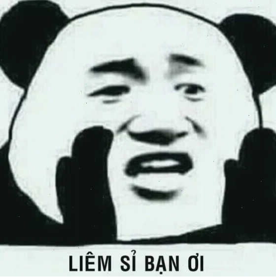 Meme gấu trúc hài hước với biểu cảm khó đỡ