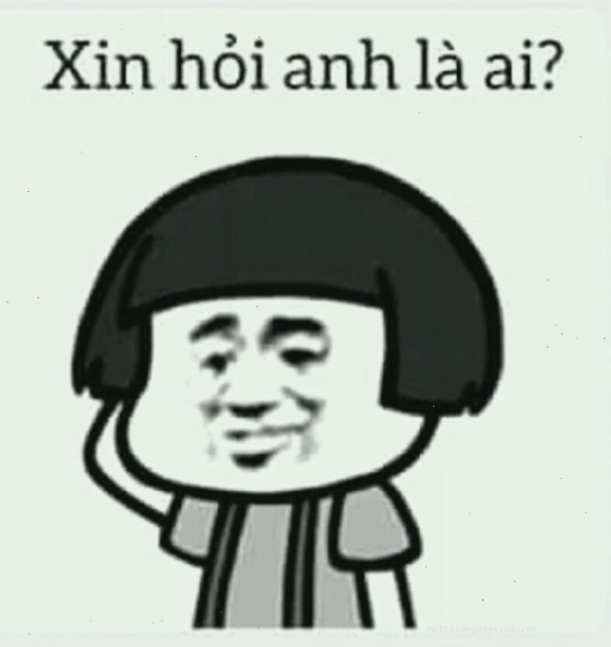 Meme gấu trúc ngơ ngác đáng yêu