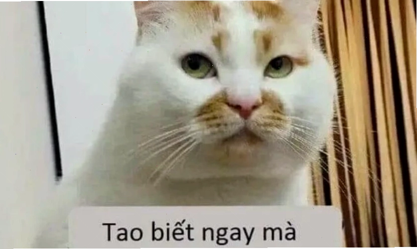 Meme hài hước 2025 với khuôn mặt biểu cảm độc đáo
