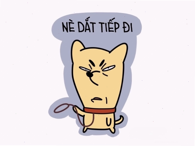 Meme hài về chú mèo với biểu cảm ngộ nghĩnh