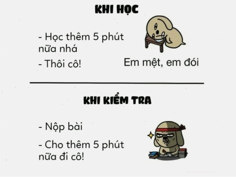 Meme hài về sự khác biệt giữa việc học và khi kiểm tra