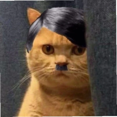 Meme Hitler phiên bản hài hước
